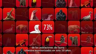 ⚠️ Informe Planeta Vivo 2024: la naturaleza está desapareciendo a niveles catastróficos.