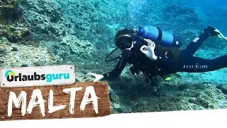 MALTA 🌞 Karibik-Flair im Mittelmeer | Marie On Tour