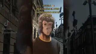 nada hombre naaaada 