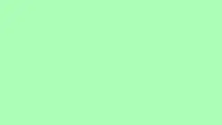 WHITE FLASH FLICKERING GREEN SCREEN