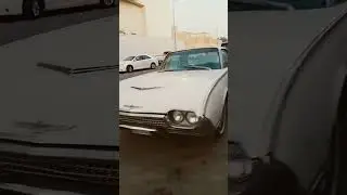 A GOLD  PRICE CAR