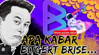 BITGERT BRISE | INI YANG DI TUNGGU | SEMOGA INI SEGERA ....