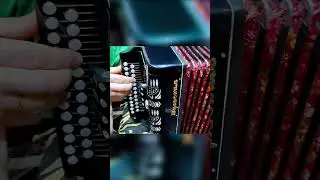 Песня от всей души! Напилася я пьяна на гармони 3 аккорда и 300 песен  