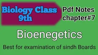 Biology class 9/ Bioenergetics/chapter 7/pdf Notes/best for examination /sindh text book