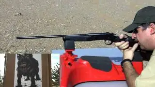 Rossi 410 Slug Shooting