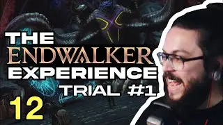 FFXIV The ENDWALKER Experience - THE DARK INSIDE