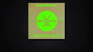 Robosonic feat. Iva - Bootycall (Dario D’Attis Remix)