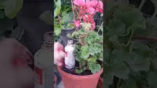 Почему именно микроэлементы?