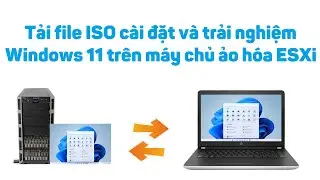 Tải file ISO cài đặt và trải nghiệm Windows 11 trên máy chủ ảo hóa ESXi