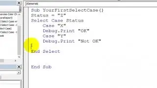 17 Excel VBA Macro   Your First Select Case