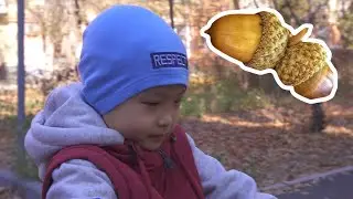Делаем поделку в школу.