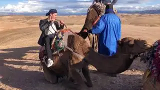 Scarabeo Camp - A night in the desert