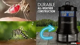 Top 5 best Mosquito Traps 2024