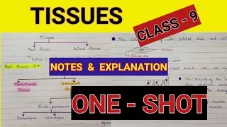 Tissues class 9 science | Class 9 Tissues one shot | Class 9 tissue notes