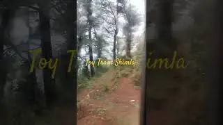 Traveling in Toy Train Shimla | Himachal Pradesh | #railway #shimlatoytrain #kumarshachindra