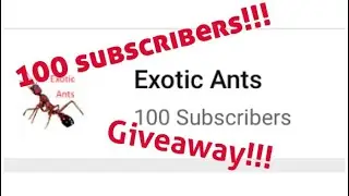 100 SUBSCRIBER GIVEAWAY!!!