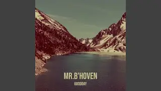 Mr.B'hoven
