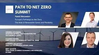 Path to Net Zero - Europe’s Pathways to Net Zero