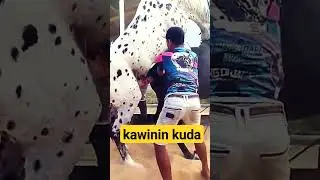 AWAS PORNO 