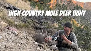 SHOT HIM FROM A CLIFF AT 40 YARDS! (Solo High Country Mule Deer Hunt)