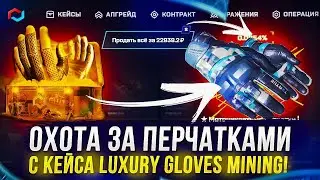 ОХОТА ЗА ПЕРЧАТКАМИ С КЕЙСА 