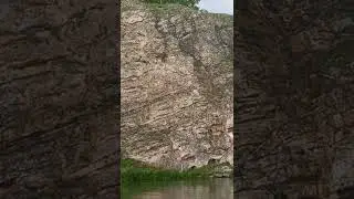 Лось сорвался со скалы Шок.