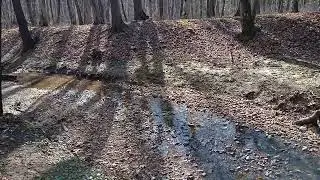Șopa forest - birds and water stream sounds  - ASMR 