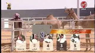 مشاركة فيصل فهد العوينان #الزعبي في جادة الطايف