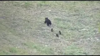 Уус Буотамаҕа үс оҕолоох тыатааҕыны көрдүлэр
