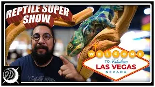 2022 Las Vegas Retile SuperShow REVIEW