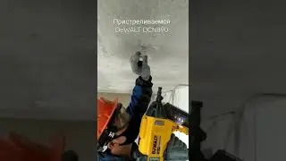 Пристрелка клипс DKC для электропроводки. Пистолет прямого монтажа DeWALT DCN890. Гвозди жёлтые 19мм