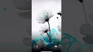 flower editing video