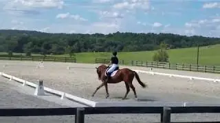 Ima Iny Too Chatt BN Dressage 9-1-2018