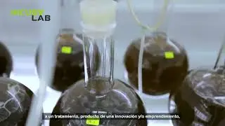 Incubalab - Cámara Climática
