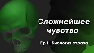 "Сложнейшее чувство" | Первая серия – "Биология страха"
