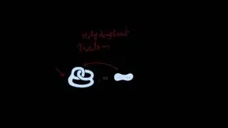 Tutorial 1: Ring and Holy doughnut problems with solution