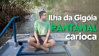 🐊 PANTANAL CARIOCA😱  - Um tour pela Ilha da Gigóia + Opção de Almoço - COM VALORES 🤑