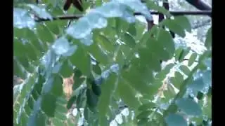 лирическая сага о душе, земле и небесах