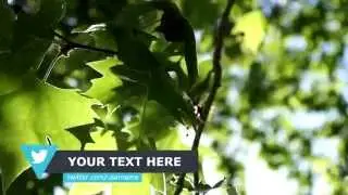 Sony Vegas | Stylish Lower Thirds