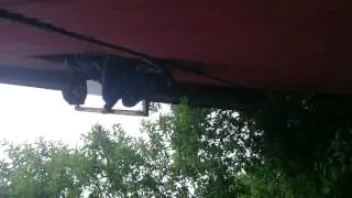 Прыгнул нах