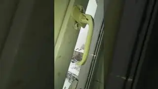 автозвук дома лютое валево