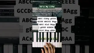 Tutorial 470 | It's My Life. 🎹 #pianotutorial #suffixpiano #bonjovi #itsmylife #shorts
