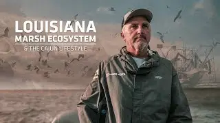 Louisiana Marsh Ecosystem: Abundance of Bait, Redfish and the Impact of Hurricanes