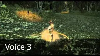 FFXIV:ARR Combat Voices - Female Hyur (Midlander) 1-4