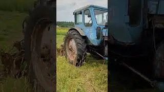 Самая надёжная подруга с мотором! 😂😂😂 МТЗ 52 #automobile #bes #мтз #мтз82 #трактор #shorts