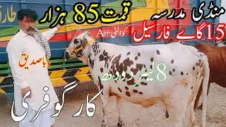 15 cows were sold in the market today. Baba Siddique sold 8 liters of milk at a price of 85 thous...