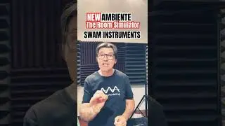 NEW AMBIENTE The Room Simulator SWAM INSTRUMENTS Audio Modeling