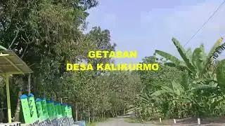 Perjalanan Si Plethuk Rute Kropoh-Kalikurmo