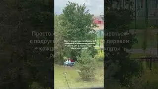 Планы на старость #рекомендации #калининград #влог