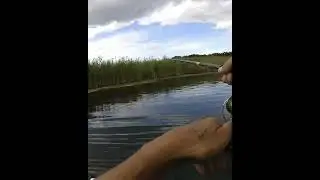 аккуратнее с этой рыбой.